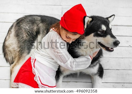 The girl in the red riding hood costume with a big dog - Gray Wolf. Fairy Tale "Little Red Riding Hood"