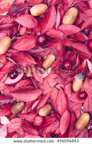 Beautiful vintage decorative autumn leaf, acorn, cranberry background. Background texture of different leaves,oak acorns, cranberries. Shabby chic style. Retro styled photo. Studio, toned picture.