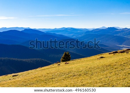 Mountain tundra landscape rises above a vast forest wilderness background in the Colorado Rocky Mountains