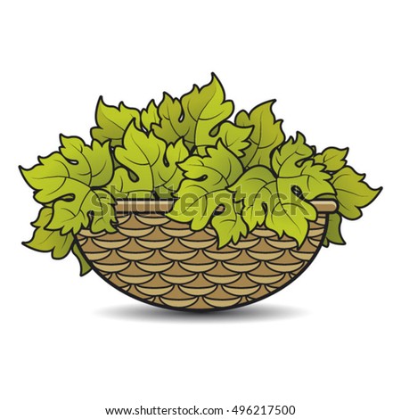 basket of green grape leaves in color-vector drawing