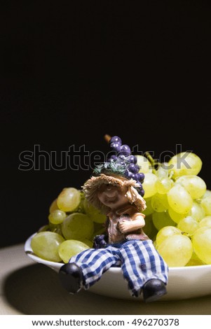 Grapes guard