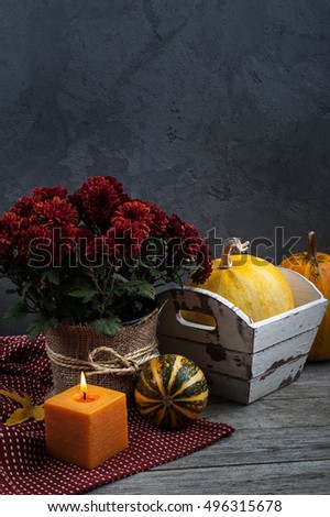 Pot of red chrysanthemum flowers and pumpkin on wooden background with lit candles