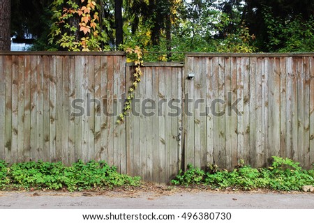 Autumn fence
