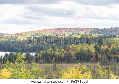 Algonquin Park in the fall
