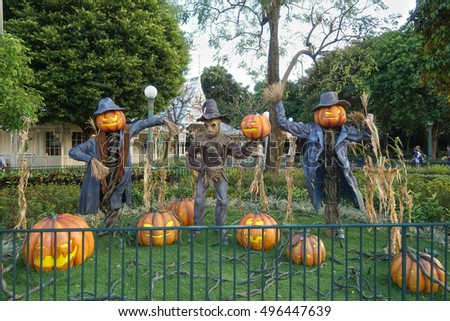 Scarecrow and Halloween pumpkin head jack o lantern statues for Halloween decoration theme in an outdoor garden, scary pumpkins on the ground. Toned Photo, dark tone for Halloween concept