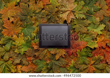Tablet on the colorful maple leaves background.