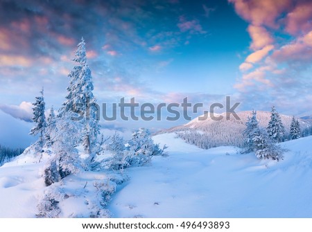 Stunning Christmas scene in the mountains. Colorful winter sunrise in the foggy morning. Carpathian national park, Ukraine, Europe. Artistic style post processed photo.
