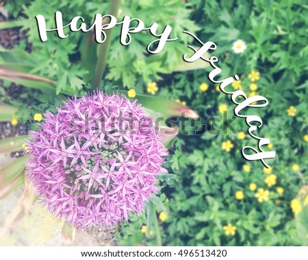 Happy Friday quote on blurred wild flowers background with vintage filter