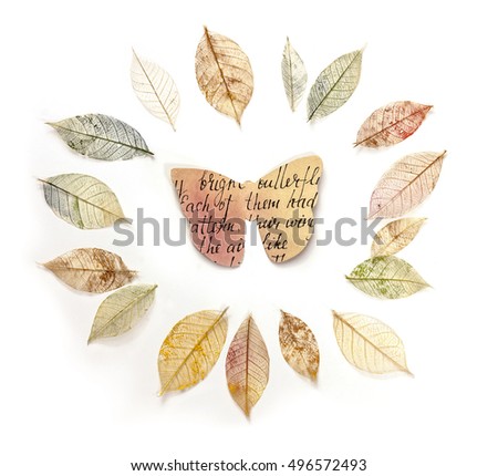 Photo of a paper butterfly in a frame made up by hand painted skeleton leaves, on white. A design for an autumn banner, with copyspace
