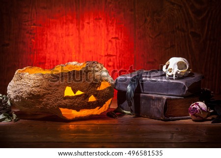 Dry pumpkin, cat skull on old books, dry rose, crow quill on red old wooden background. Vintage witchcraft still life.