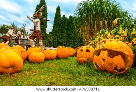 Happy Halloween, scary face in pumpkin in the autumn garden