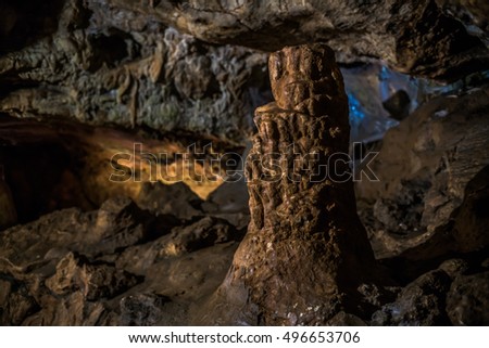 
underground cave. The light in the cave. Cave life