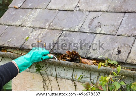 clearing gutter blocked with autumn leaves Royalty-Free Stock Photo #496678387