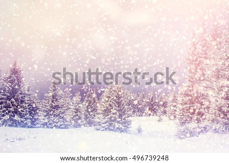 magical winter landscape, background with some soft highlights and snow flakes. Dramatic wintry scene. Carpathian, Ukraine, Europe.