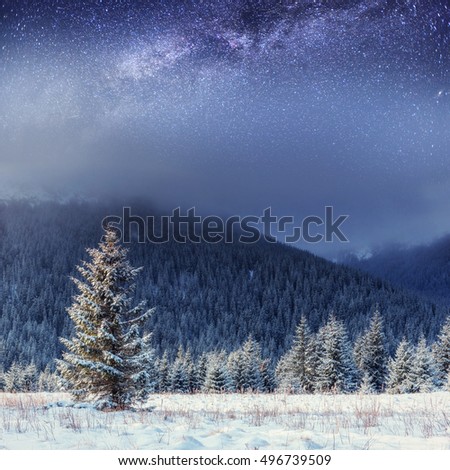 starry sky in winter snowy night. Carpathians, Ukraine, Europe