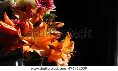orange lily with yellow tint black back ground