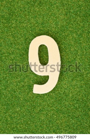 Nine:wood number on green grass background