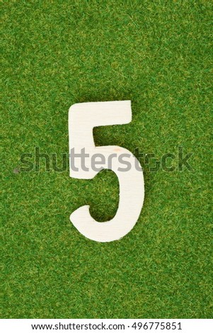 Five:wood number on green grass background