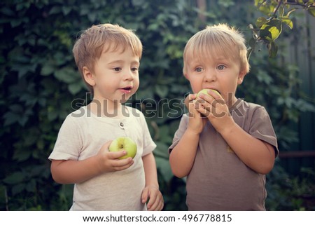 Two little boys eating apples in the apple garden. Image with selective focus and toning