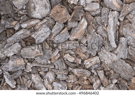 
Natural pine bark used as a soil covering