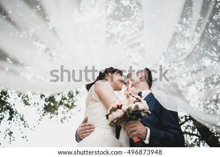 Happy newlyweds under the bridal veil Royalty-Free Stock Photo #496873948