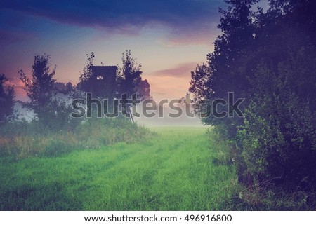 Vintage photo of wild foggy meadow landscape. Summer grassland under sunset or sunrise sky and fog. Misty landscape.