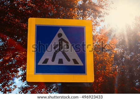 road sign - crosswalk with sunlight and glare on the background of autumn trees