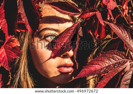 Toned portrait of a girl in a red leaves. Young woman looks past the camera. Part of the face covered autumn leaves. Close-up ,