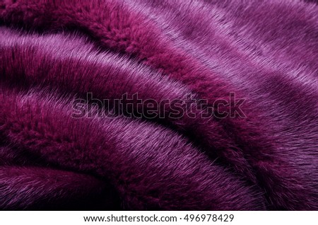 Natural mink fur toned purple, short pile. Background, Texture