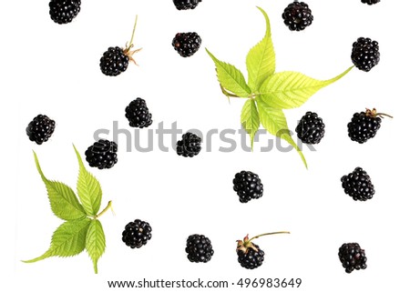blackberry berry on a white background top view of a flat style summer fresh berries pattern