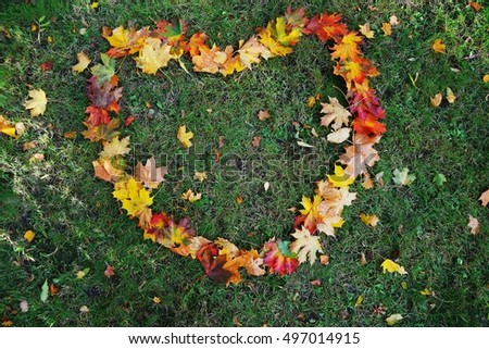 Heart shape from dry maple leaf texture on a green grasses as a background.