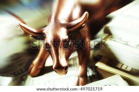 Money ( Bull Market ) Stock Photo High Quality 