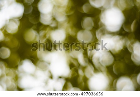 blur background Bokeh light of natural outdoor background