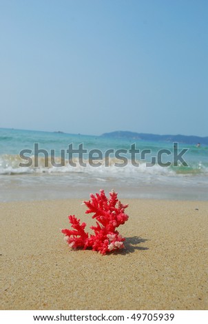 A conch shell on an exotic beach with the sea in the background