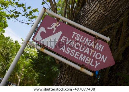 Tsunami. A sign indicating the direction of the evacuation