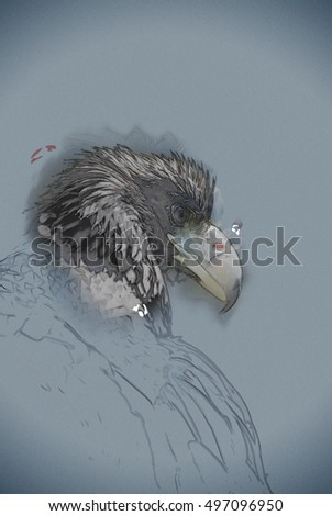 Portrait of a Black Kite with staring eye. Vintage painting, background illustration, beautiful picture, travel texture
