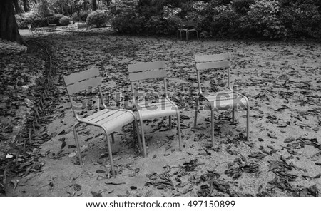 Chairs in Luxembourg garden. Paris (France) Black and white photo.