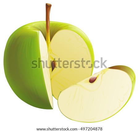 Realistic green apple with slices. Isolated on white background.