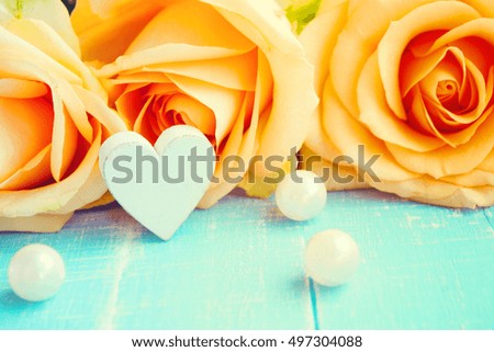 Peach colored rose close-up on the blue wooden background