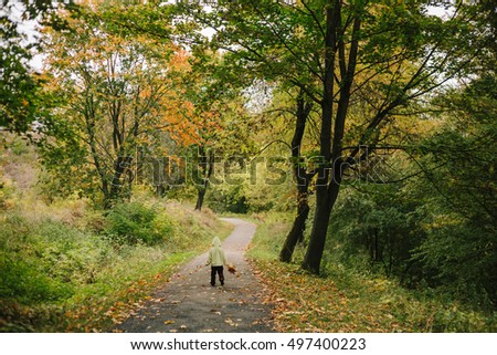 Little girl in the autumn park. run pathway