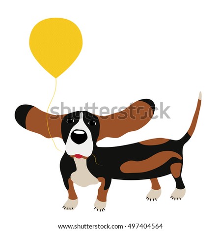 dog Basset Hound with a balloon isolated on white background.