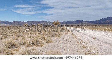 Unpaved road leading to Area 51, Nevada Royalty-Free Stock Photo #497446276
