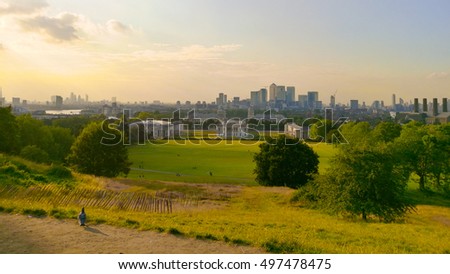 Greenwich view with lonely seagull looking London view
