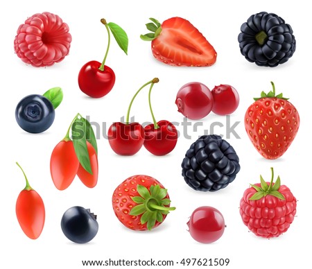 Forest berry. Sweet fruit. 3d vector icons set. Realistic illustration Royalty-Free Stock Photo #497621509