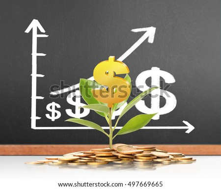 green plant on the gold coins