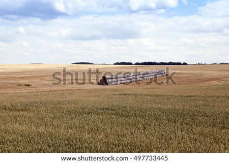   photographed close-up straw haystacks piled together on each other