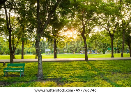 Green grass field with tree in the city park, Meadow with tree