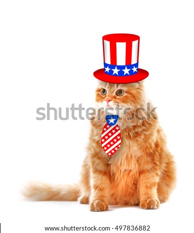 Cute cat in Uncle Sam hat and tie on white background. USA holiday concept.
