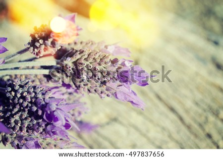Lavender flowers on a wooden background