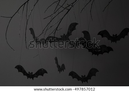 halloween with silhouettes of black bats on a tree branch on a dark background